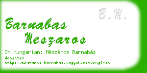 barnabas meszaros business card