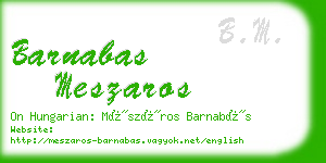 barnabas meszaros business card